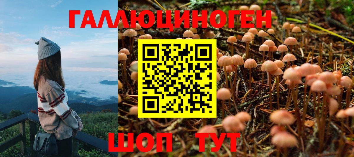 Псилоцибиновые грибы Изобильный