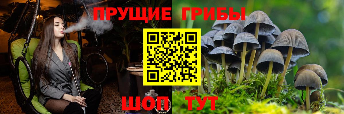 Псилоцибиновые грибы мицелий  Изобильный  Галлюциногенные грибы ЛСД 